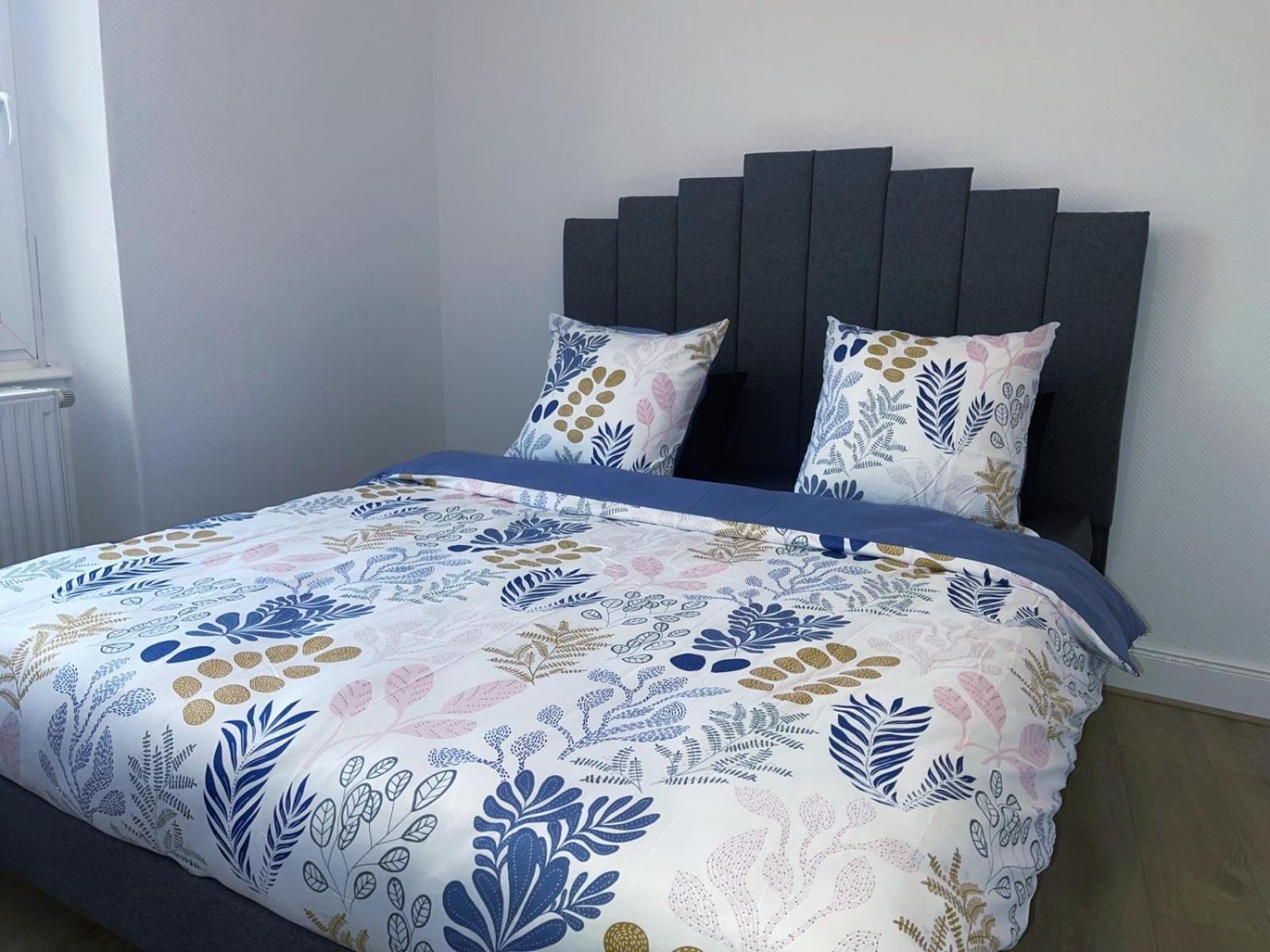 Magnifique Appartement Charmant T3 80M2 Parking Gratuit Rosheim Exteriör bild